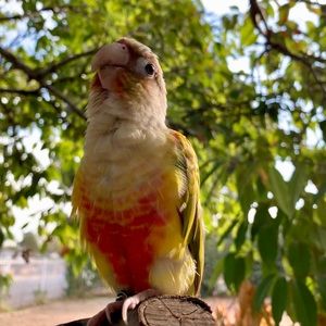 Meet your Posher, Kay